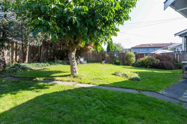 3801 Napier St, Burnaby 16