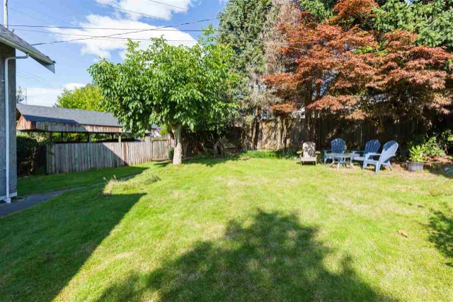 3801 Napier St, Burnaby 18