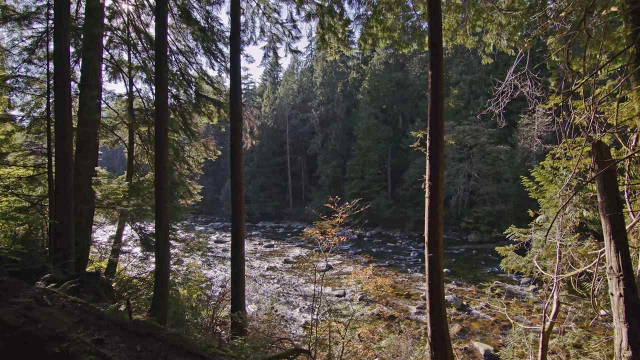 H 2000 Riverside Dr, Vancouver 5