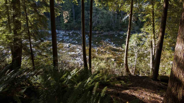 H 2000 Riverside Dr, Vancouver 6