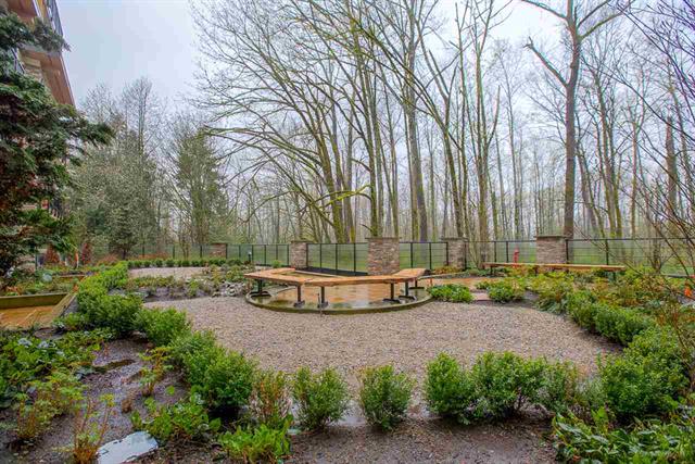 214 2495 Wilson Ave, Port Coquitlam 15