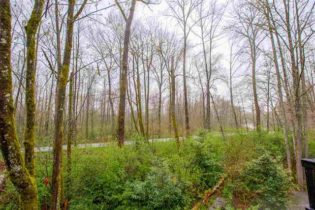214 2495 Wilson Ave, Port Coquitlam 16