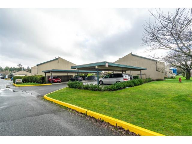 55 5850 177B St, Cloverdale 2