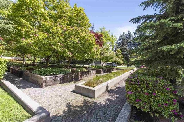 608 1190 Pipeline Road, Coquitlam 31