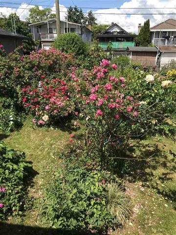 4411 Union Street, Burnaby North 3