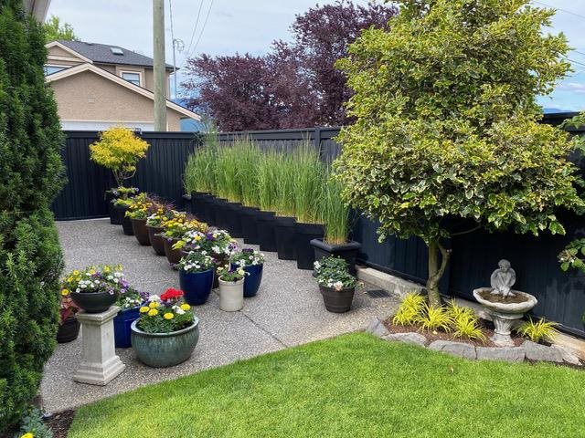 4267 TRIUMPH STREET, Burnaby North 29