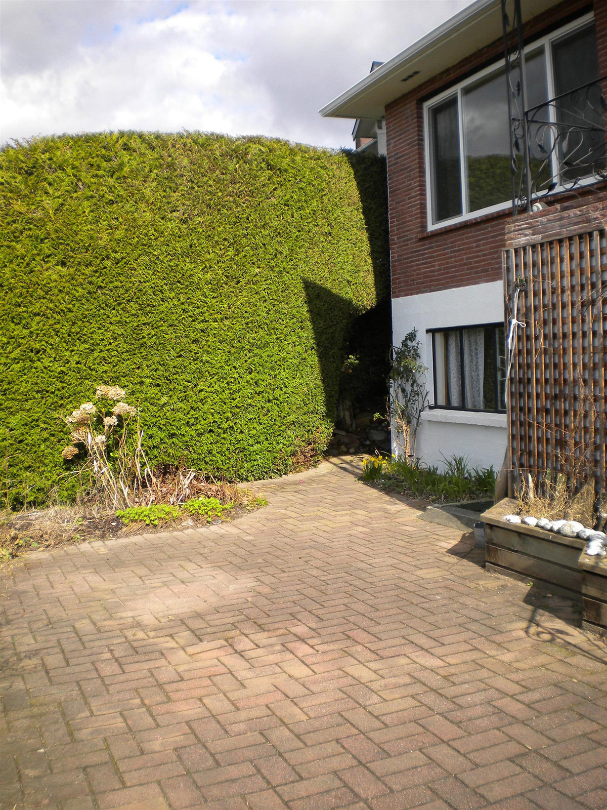 7328 Ridge Drive, Burnaby North 14