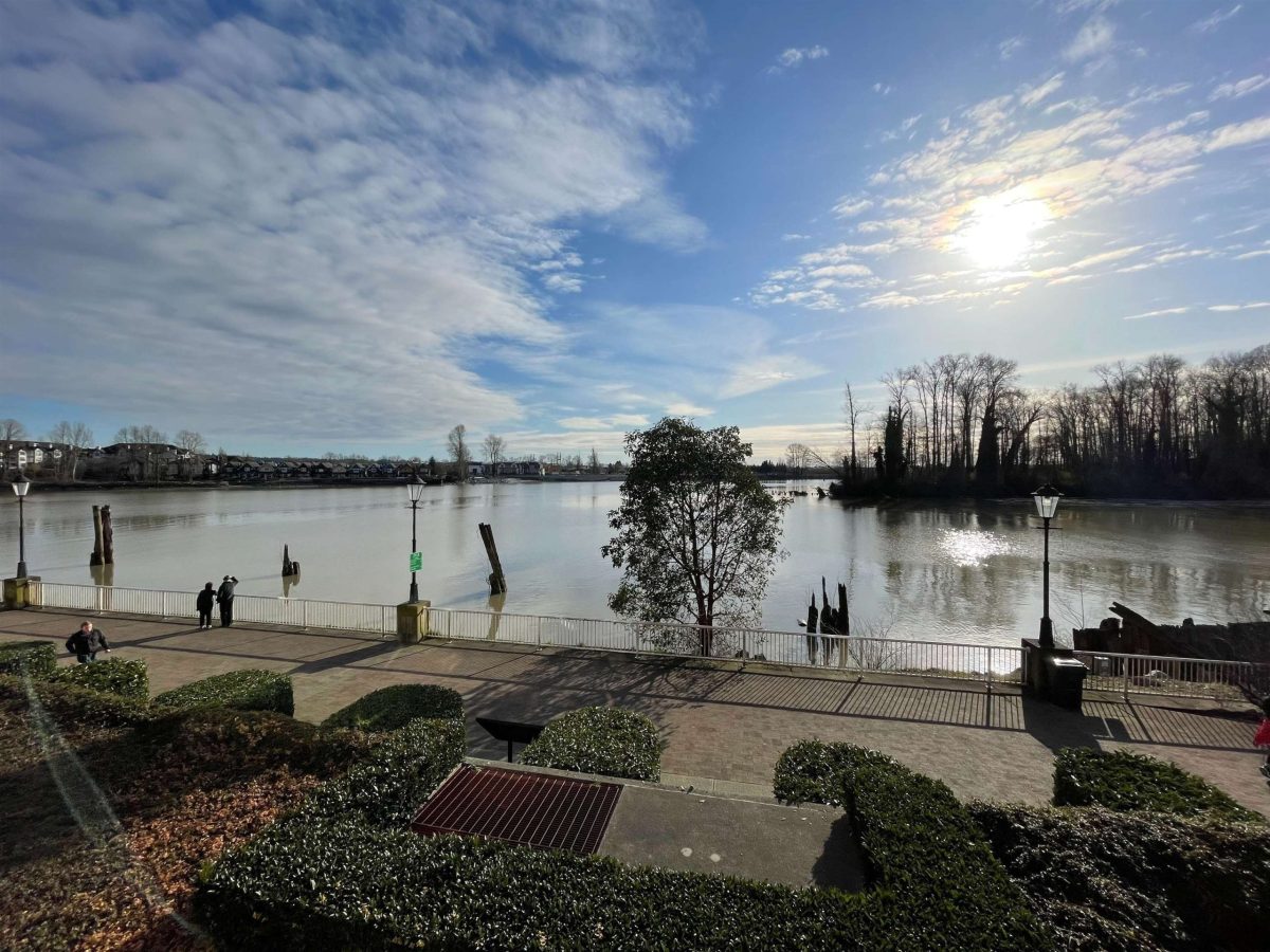 219 3 Rialto Court, New Westminster 23