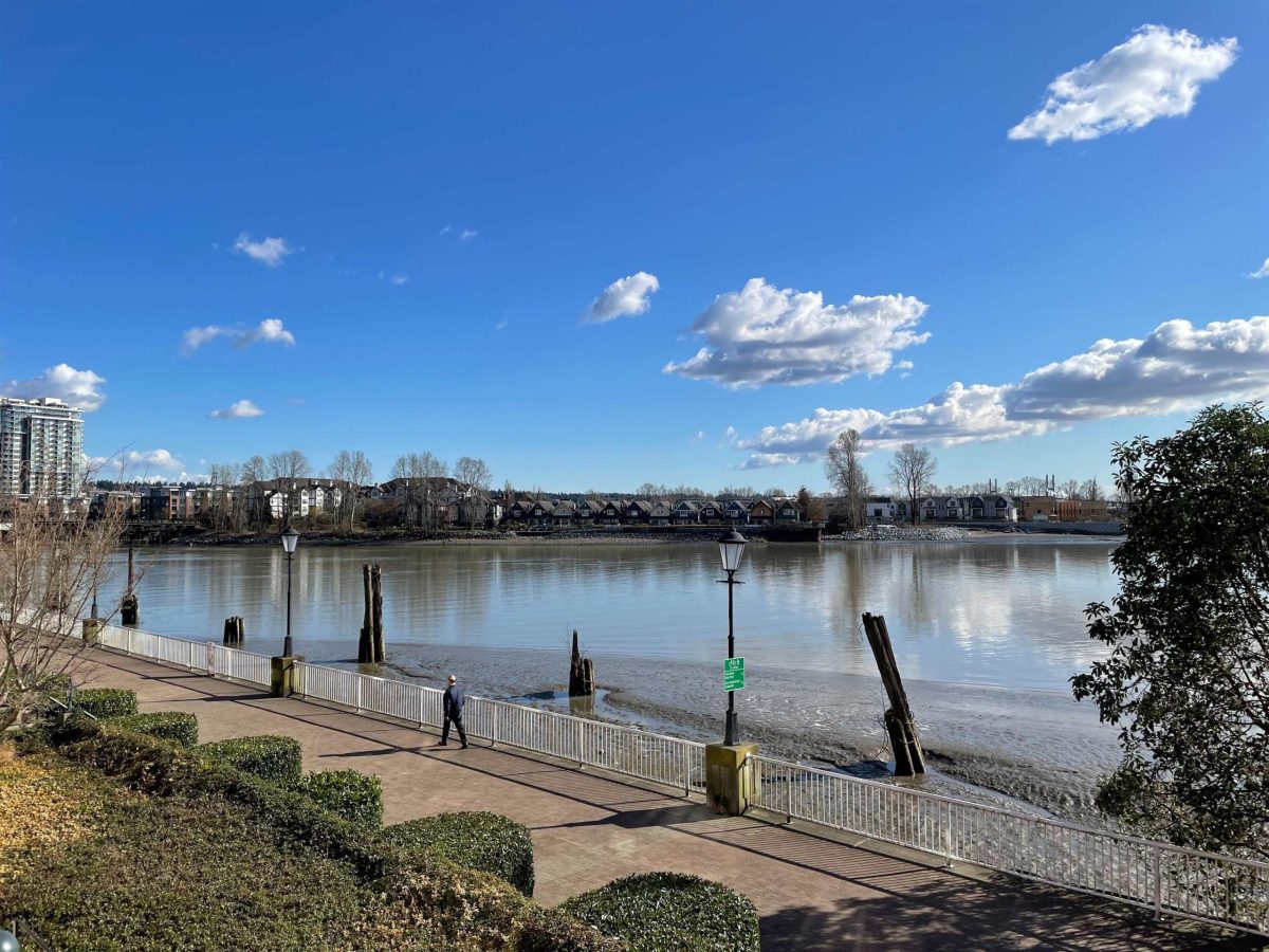 219 3 Rialto Court, New Westminster 24