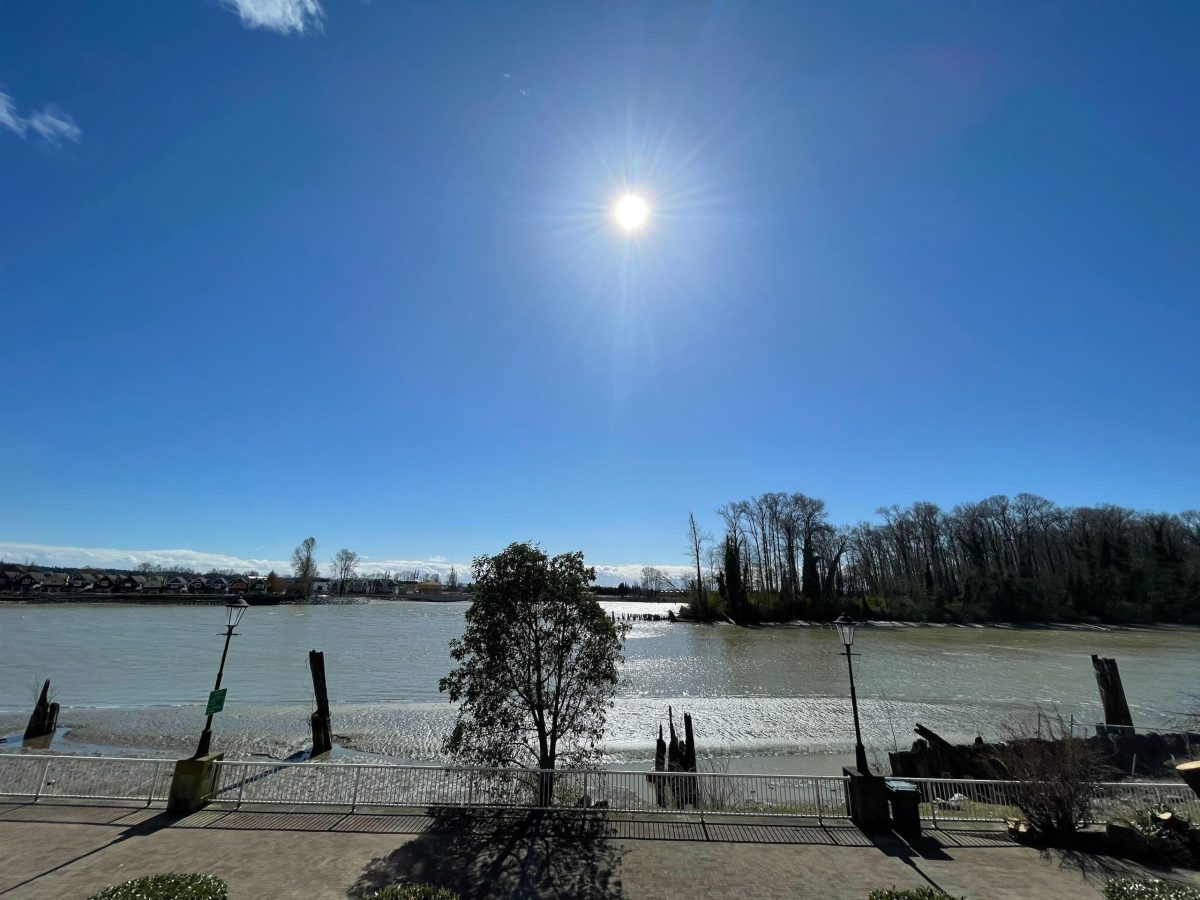 219 3 Rialto Court, New Westminster 25