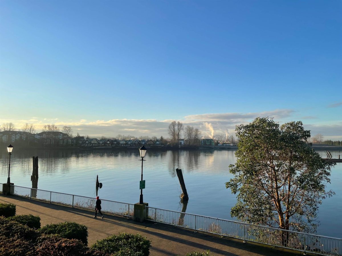 219 3 Rialto Court, New Westminster 33