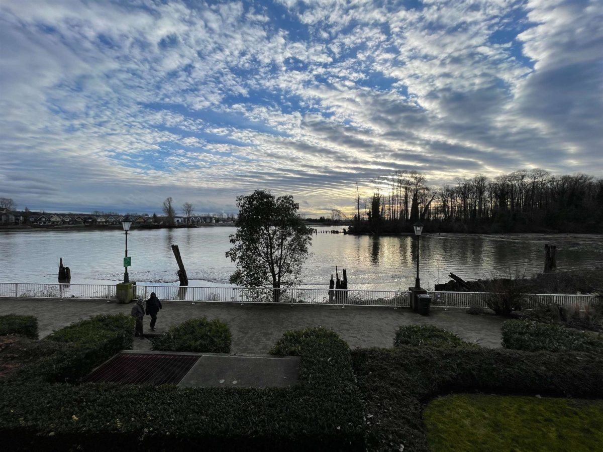219 3 Rialto Court, New Westminster 34