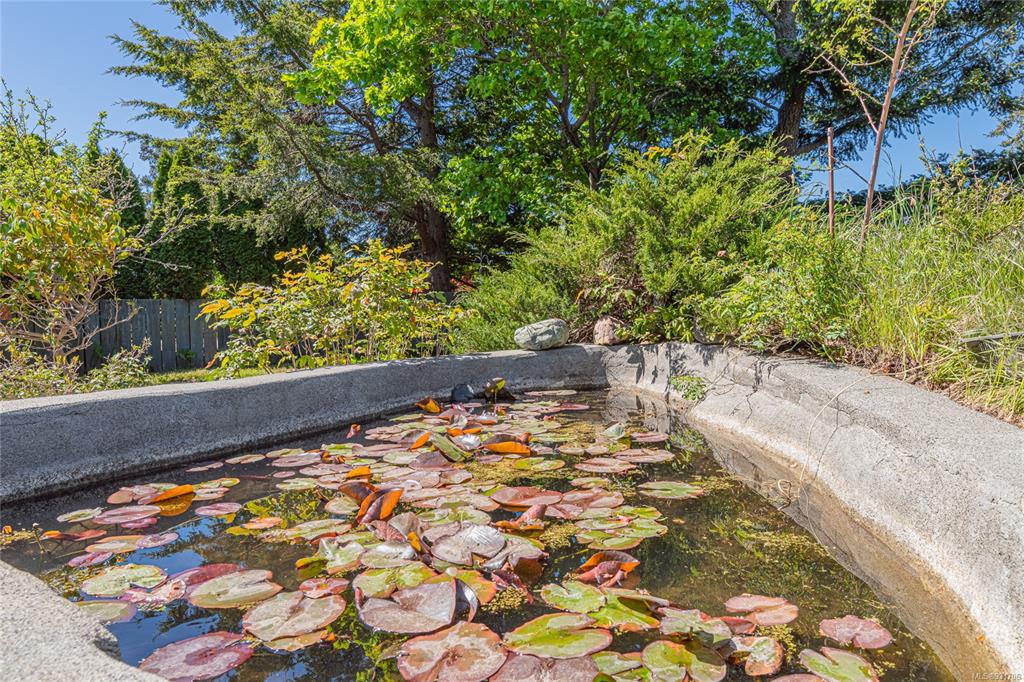 342 Foul Bay Rd, Victoria 19