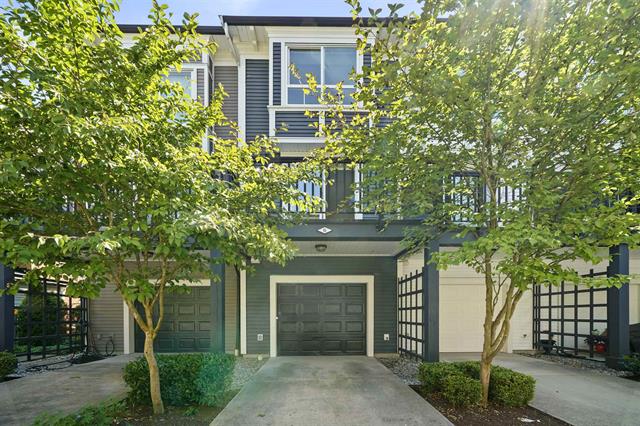 6 2423 AVON PLACE, Port Coquitlam 23