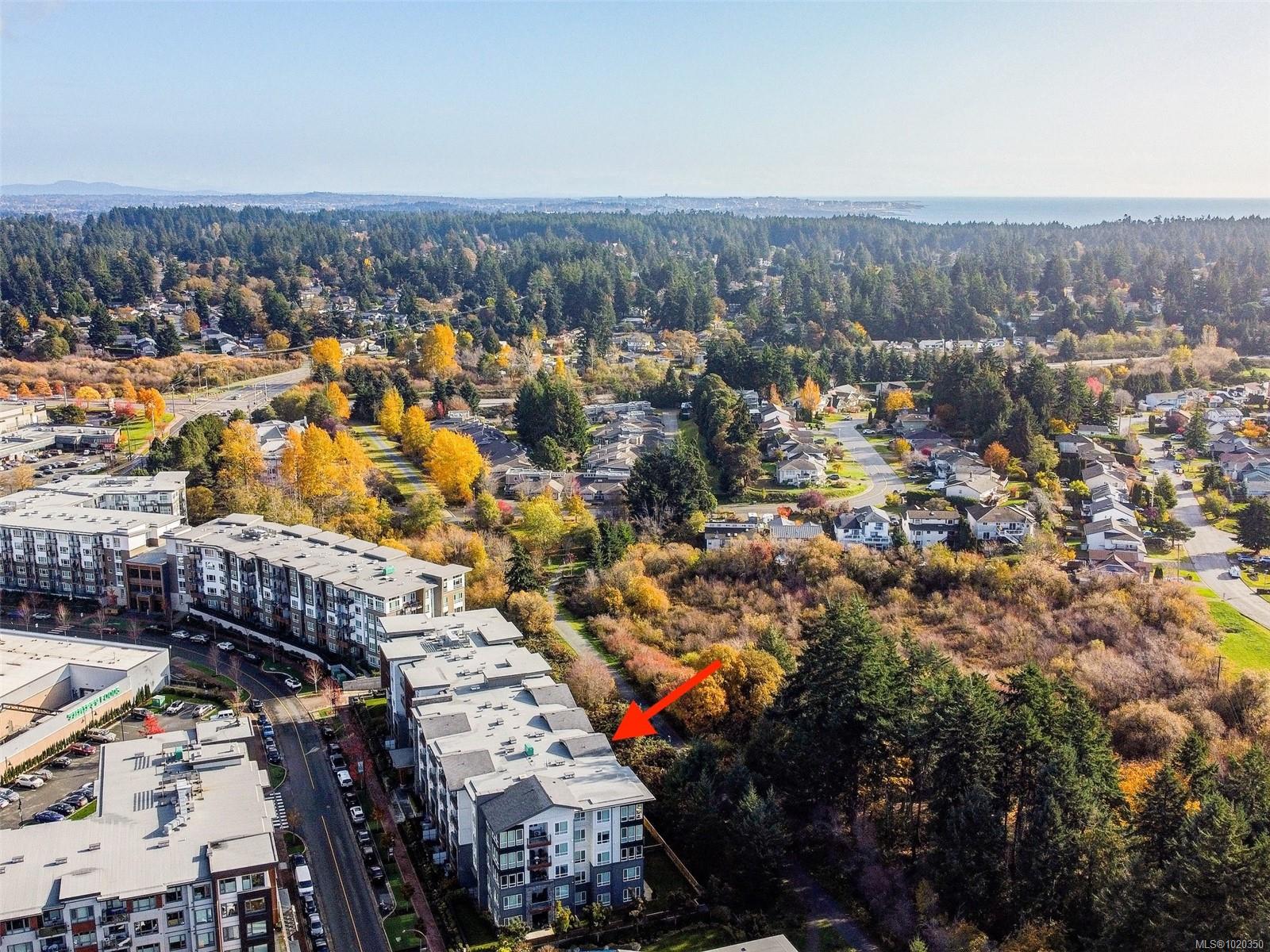 940 Reunion Avenue #211 Langford, BC 41