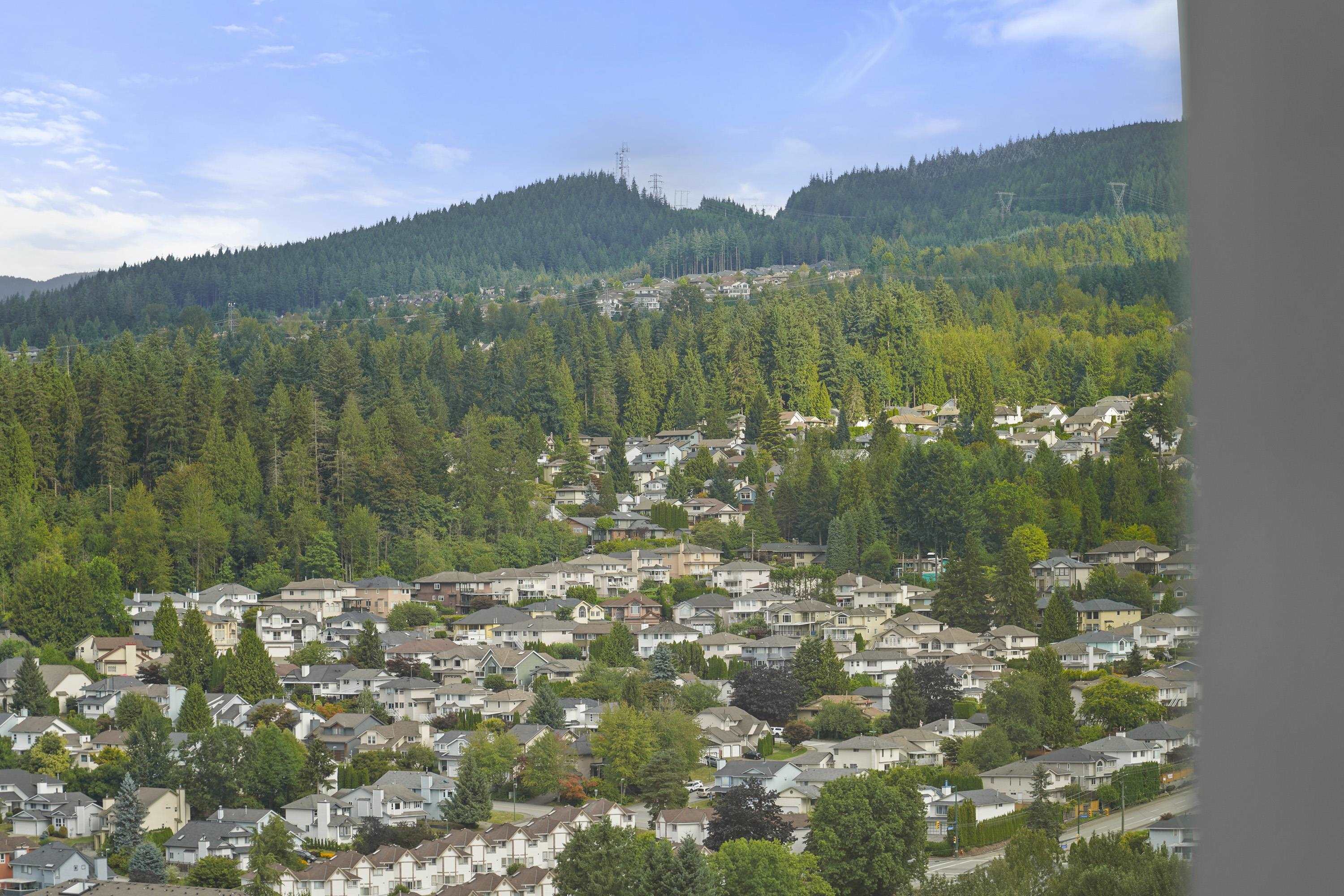 3006 2978 GLEN DRIVE 29